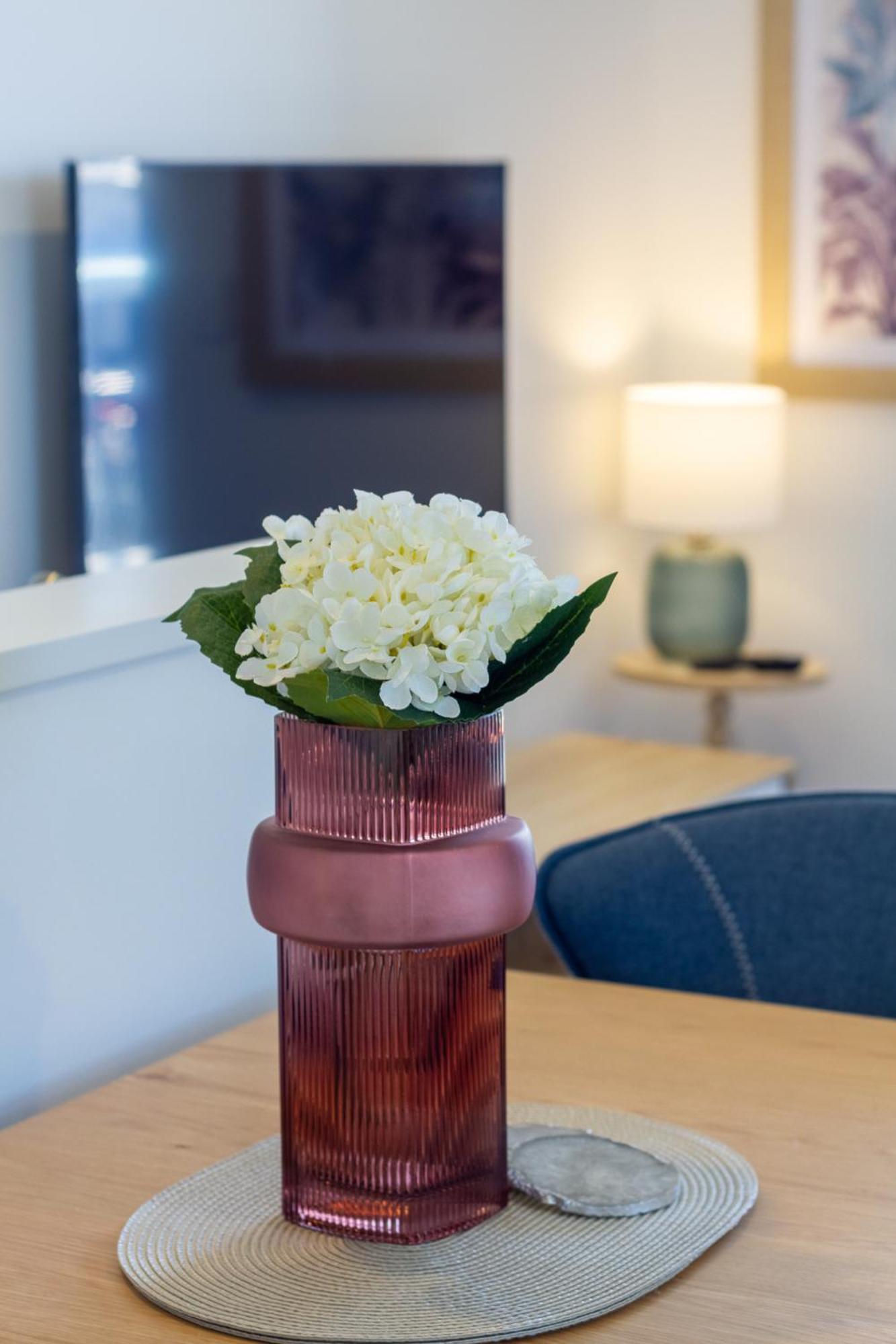 Studio Bliss: Explore From Wilmer St Christchurch Exteriör bild