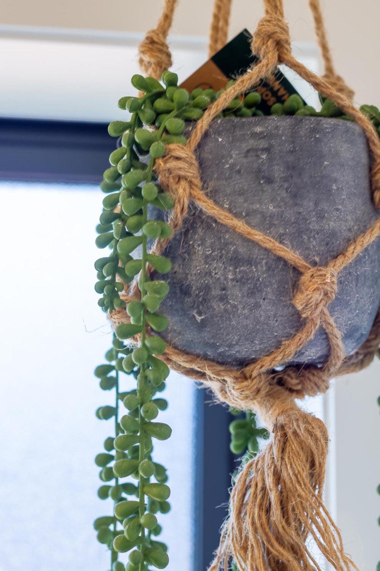 Studio Bliss: Explore From Wilmer St Christchurch Exteriör bild