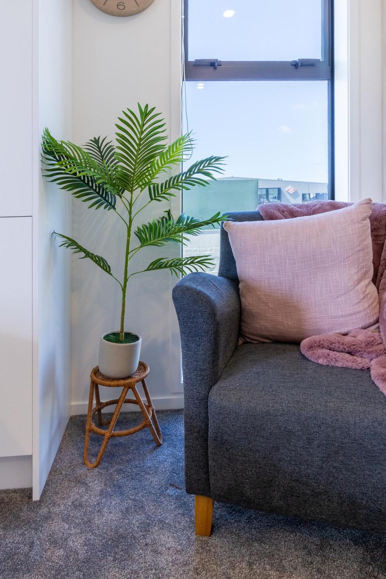 Studio Bliss: Explore From Wilmer St Christchurch Exteriör bild